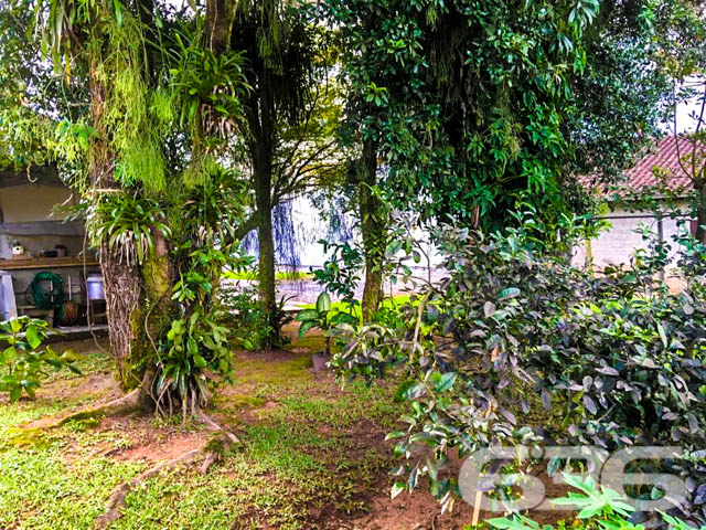Foto de Terreno Joinville Costa e Silva 01030538