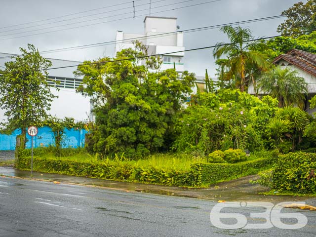 Foto de Terreno Joinville Santo Antônio 01030212