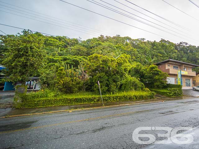 Foto de Terreno Joinville Santo Antônio 01030212